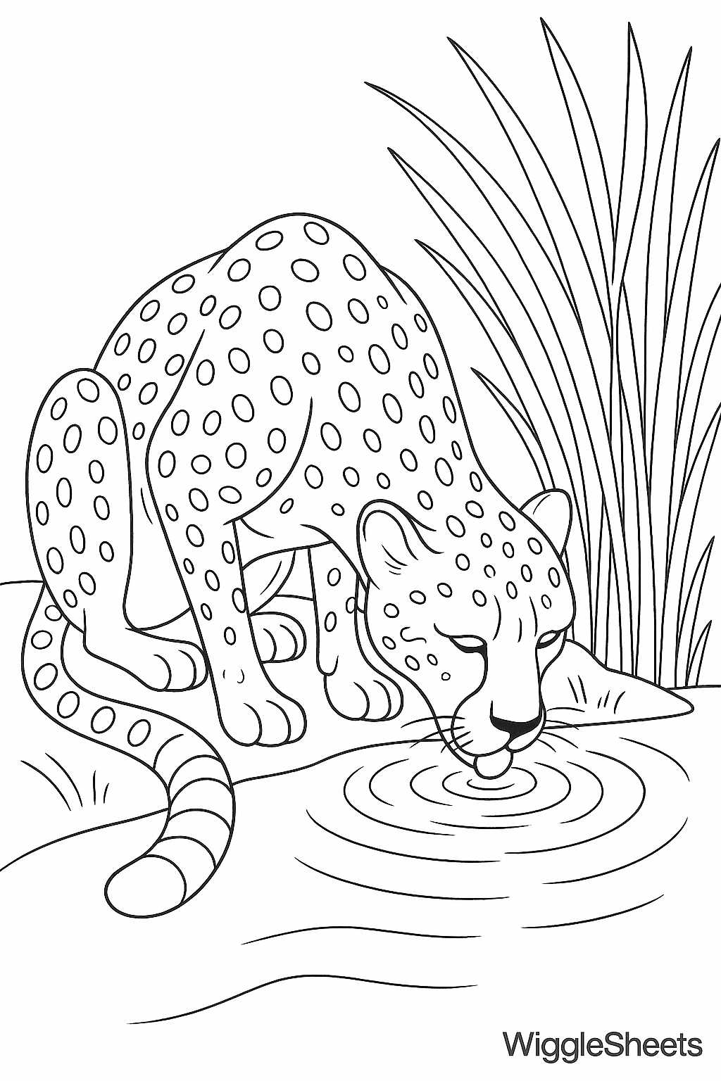 Cheetah Jungle Stream Coloring Page
