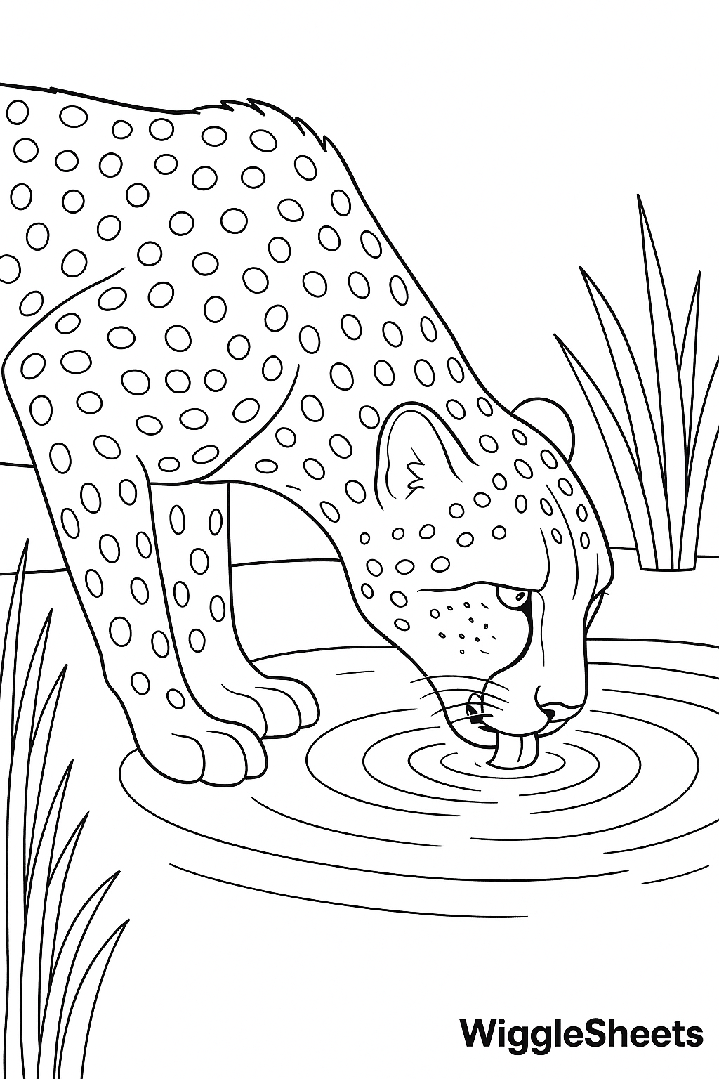 Cheetah Water Sip Coloring Page
