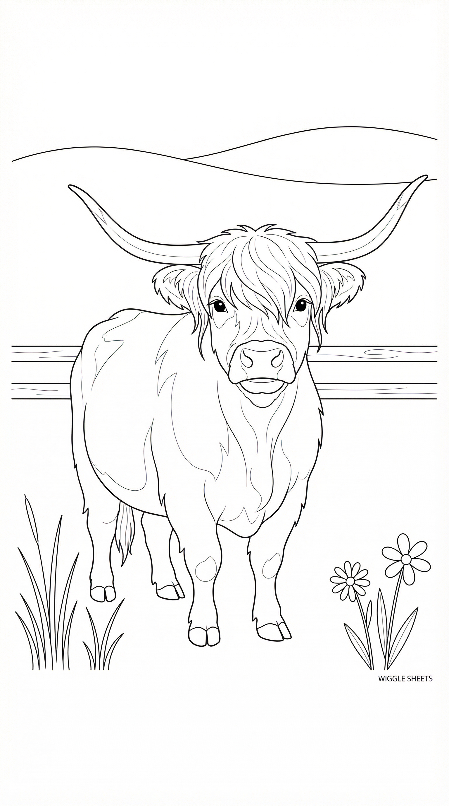 Realistic Highland Cow Coloring Page